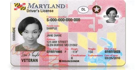 Maryland Drivers License